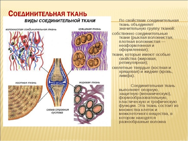 Заболевания соединительной ткани: симптомы — 