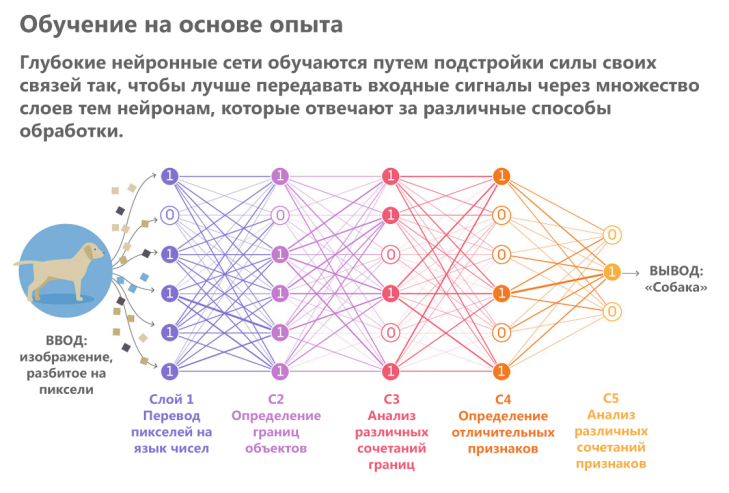 Л. Н. Ясницкий, Т. В.