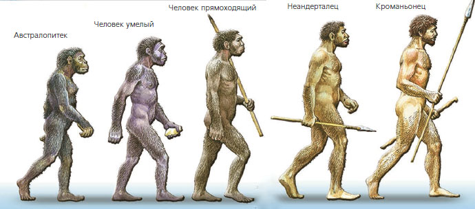 Рассмотрите рисунок отметьте сходство и различие между древним предком