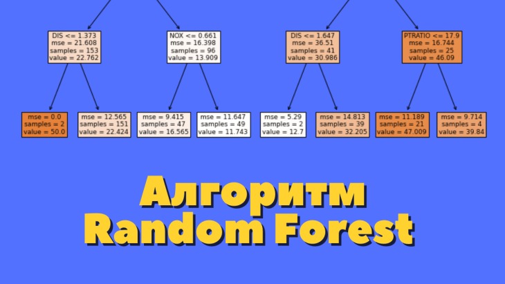 Лес алгоритм. Random Forest qanday ishlaydi.