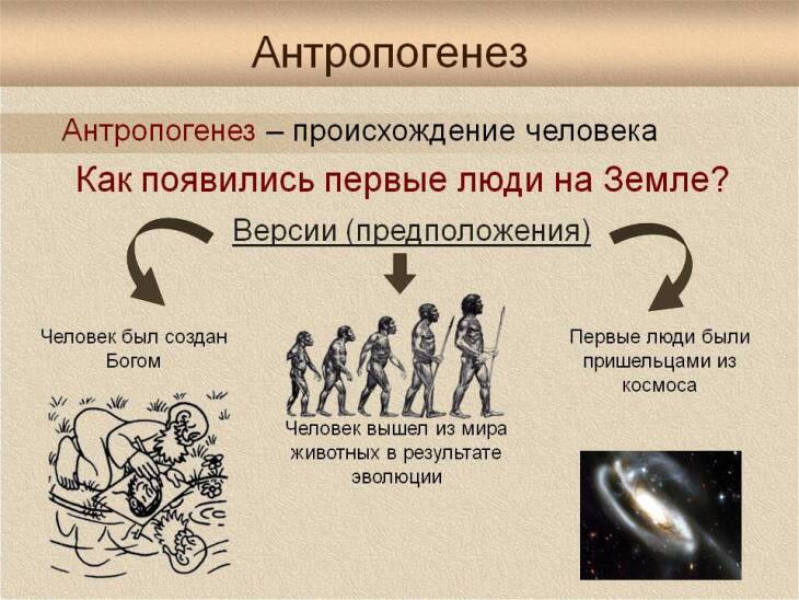 Происхождение и развитие человека проект