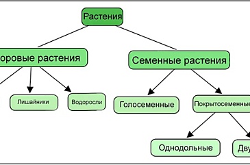 Precision в машинном обучении