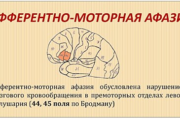 Афферентная моторная афазия симптомы